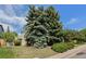 Exterior shot of a home with lush green trees in front of it, under a brilliant blue sky with fluffy white clouds at 1665 S Madison St, Denver, CO 80210