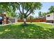 Spacious backyard with tree, play structure and shed for outdoor enjoyment at 4604 Routt St, Wheat Ridge, CO 80033