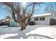 Two-story house with a large tree in front and a snowy yard at 2527 S Coors St, Lakewood, CO 80228