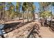 Secluded backyard area with mature trees and a rustic fence bordering the property at 11421 Belle Meade Dr, Conifer, CO 80433