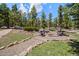 Secluded backyard with a charming gravel seating area surrounded by lush trees, perfect for relaxation and conversation at 11421 Belle Meade Dr, Conifer, CO 80433