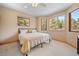 Cozy bedroom with neutral tones, large windows showcasing wooded views, and a ceiling fan at 11421 Belle Meade Dr, Conifer, CO 80433