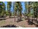 Secluded house partially obscured by lush trees, creating a private and natural setting with forest surroundings at 11421 Belle Meade Dr, Conifer, CO 80433