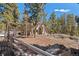 Exterior home view featuring natural landscaping, including mature trees and rock outcroppings at 11421 Belle Meade Dr, Conifer, CO 80433