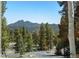 Breathtaking mountain view home site surrounded by lush evergreen trees and blue skies at 11421 Belle Meade Dr, Conifer, CO 80433