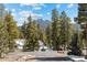 Breathtaking mountain views framed by mature trees, showcasing natural beauty at 11421 Belle Meade Dr, Conifer, CO 80433