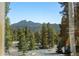 Scenic mountain view through the trees, showcasing the natural beauty of the property's surroundings at 11421 Belle Meade Dr, Conifer, CO 80433