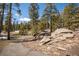 Picturesque yard with mature trees, rock outcroppings, and walking path at 11421 Belle Meade Dr, Conifer, CO 80433