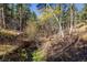Lush tree-filled land featuring native foliage, mature trees, and a tranquil setting at 31948 Highway 72, Golden, CO 80403