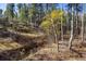 Picturesque land featuring native trees and grassy hillside offering a serene natural setting at 31948 Highway 72, Golden, CO 80403