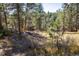 Verdant lot featuring scattered trees, natural grass, and picturesque woodland surroundings at 31948 Highway 72, Golden, CO 80403