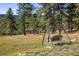 A charming swing set sits among tall pine trees in a lush and beautiful mountain setting at 31948 Highway 72, Golden, CO 80403