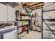 Basement storage room with shelving units filled with bins and various household items at 7258 Oasis Dr, Castle Rock, CO 80108