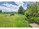 Lush backyard with a creek, wooden dock, and a cozy fire pit area, creating a serene outdoor setting at 7614 Malamute Dr, Evergreen, CO 80439