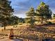 Outdoor backyard area complete with mature shade trees and custom chimney feature at 386 Monte Vista Rd, Golden, CO 80401