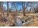 Scenic view of a small creek flowing through a natural landscape with mature trees and native vegetation at 7054 Welch Ct, Arvada, CO 80004