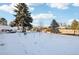 Snowy backyard with a trampoline and large tree at 10975 Birch Dr, Thornton, CO 80233