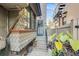 Back entrance with blue door, wooden steps and plants, surrounded by foliage at 1372 Gaylord St # 4, Denver, CO 80206