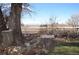A serene backyard with a white fence, mature trees, and potential for landscaping at 7250 County Road 5, Erie, CO 80516