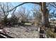 Rear yard of a property with a stone patio, wooden benches, and mature trees at 7250 County Road 5, Erie, CO 80516