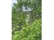 Tree-filled view with a tennis court and neighborhood playground visible at 4812 S Bahama Way, Aurora, CO 80015