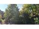 Lush front yard with mature trees, a chain link fence, and a glimpse of the home's architectural details at 785 Jasmine St, Denver, CO 80220