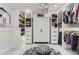 Large walk-in closet featuring custom shelves, a chandelier, and ample space for wardrobe organization at 11848 Begole Cir, Golden, CO 80403