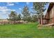 Lush backyard with mature trees and open green space, creating a serene outdoor environment at 8746 Sunridge Hollow Rd, Parker, CO 80134