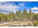 Beautiful view of a dense forest of tall pine trees against a bright, cloudy sky at 100 Apache Rd, Evergreen, CO 80439