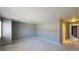 Large, carpeted bedroom featuring neutral walls, and a walk-in closet at 1653 Valley Oak Ct, Castle Rock, CO 80104