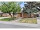 Charming brick home featuring a spacious front yard with mature tree at 4629 Estes St, Wheat Ridge, CO 80033