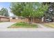 Charming brick home featuring a spacious front yard with mature tree at 4629 Estes St, Wheat Ridge, CO 80033