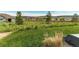Expansive backyard with lush green grass, mature trees, and a view of the neighborhood at 3367 New Haven Cir, Castle Rock, CO 80109