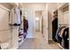 Generous walk-in closet featuring carpet, custom shelving, and ample storage space at 3367 New Haven Cir, Castle Rock, CO 80109
