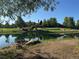Scenic view of the community pond with a clubhouse in the background, framed by trees and greenery at 4932 Democrat Dr, Broomfield, CO 80023