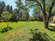 Expansive grassy backyard at 1866 W Davies Ave, Littleton, CO 80120