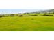 Expansive backyard with a serene view of rolling green hills and a clear blue sky at 2549 Loon Cir, Castle Rock, CO 80104