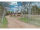 Gravel driveway leads to a cozy home featuring a spacious yard and a charming fence line with white bark trees in the foreground at 9288 Krashin Dr, Conifer, CO 80433