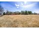 Community park and playground surrounded by mature trees under a bright blue sky at 1481 Red Poppy Way, Brighton, CO 80601