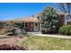 Charming brick home with a manicured lawn, mature trees, and inviting walkway at 6305 Yukon St, Arvada, CO 80004