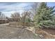 Landscaped front yard featuring a wooden fence and mature trees at 6000 W 29Th Ave, Denver, CO 80214