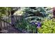 Landscaped front yard with a charming fence, irises and mature trees at 6000 W 29Th Ave, Denver, CO 80214