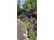 Charming home exterior with vibrant purple irises along a gravel pathway at 6000 W 29Th Ave, Denver, CO 80214