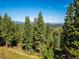 A beautiful hillside view of the natural landscaping around the property at 26886 Evergreen Springs Rd, Evergreen, CO 80439