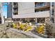 Relaxing patio with yellow chairs and picnic tables at 1433 N Williams St # 801, Denver, CO 80218