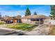 Attractive single-story home with a carport, covered porch, and attached garage, framed by mature trees at 724 Ursula St, Aurora, CO 80011