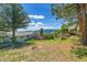 The backyard is spacious with mature trees, a fire pit, and beautiful mountain views at 258 Post Boy Rd, Boulder, CO 80302