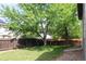 A fenced backyard features a lush lawn and mature trees at 213 Mesa St, Brighton, CO 80601