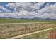 Scenic view of mountains and open land from a grassy backyard, perfect for outdoor enjoyment at 9527 Iron Mountain Way, Arvada, CO 80007