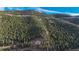 Stunning mountain home nestled amongst tall trees on a vast hillside at 900 Sawmill Creek Rd, Evergreen, CO 80439